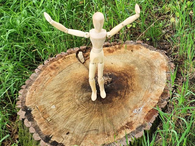 Valkuilen of opstapjes?